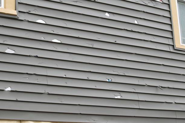 Best Demolition Debris Removal  in , RI